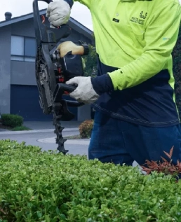 Hedge Trimming